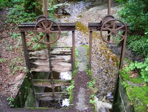 Old-fashioned dam on in the forest