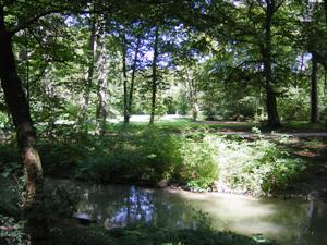 Romantic creek in northern part the English Garden in Munich