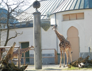 Tierpark Hellabrunn