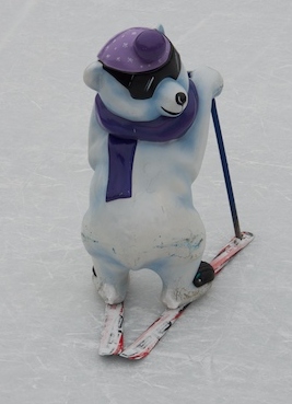 Icebear on Skis