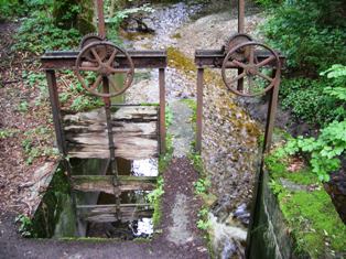 It's a lovely walk through the green forest to Andechs Monastery near Munich