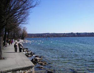 Coastline of Starnberger See